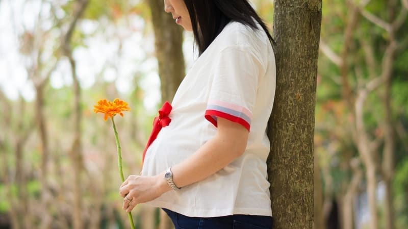 First Trimester: The Complete Guide
