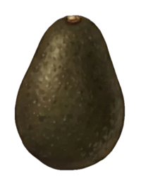 Week 16 of Pregnancy: Your Baby Is the Size of an Avocado
