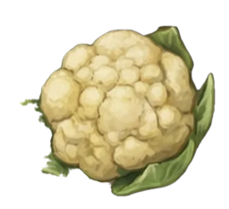 Week 25 of Pregnancy: Your Baby Is the Size of a Cauliflower