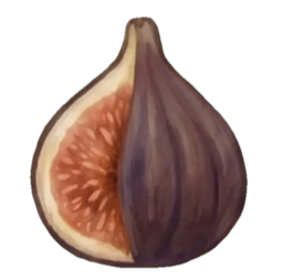 Week 11 of Pregnancy: Your Baby Is the Size of a Fig