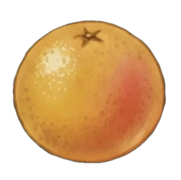 grapefruit
