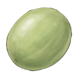 honeydew