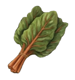 Week 37 of Pregnancy: Your Baby Is the Size of Swiss Chard